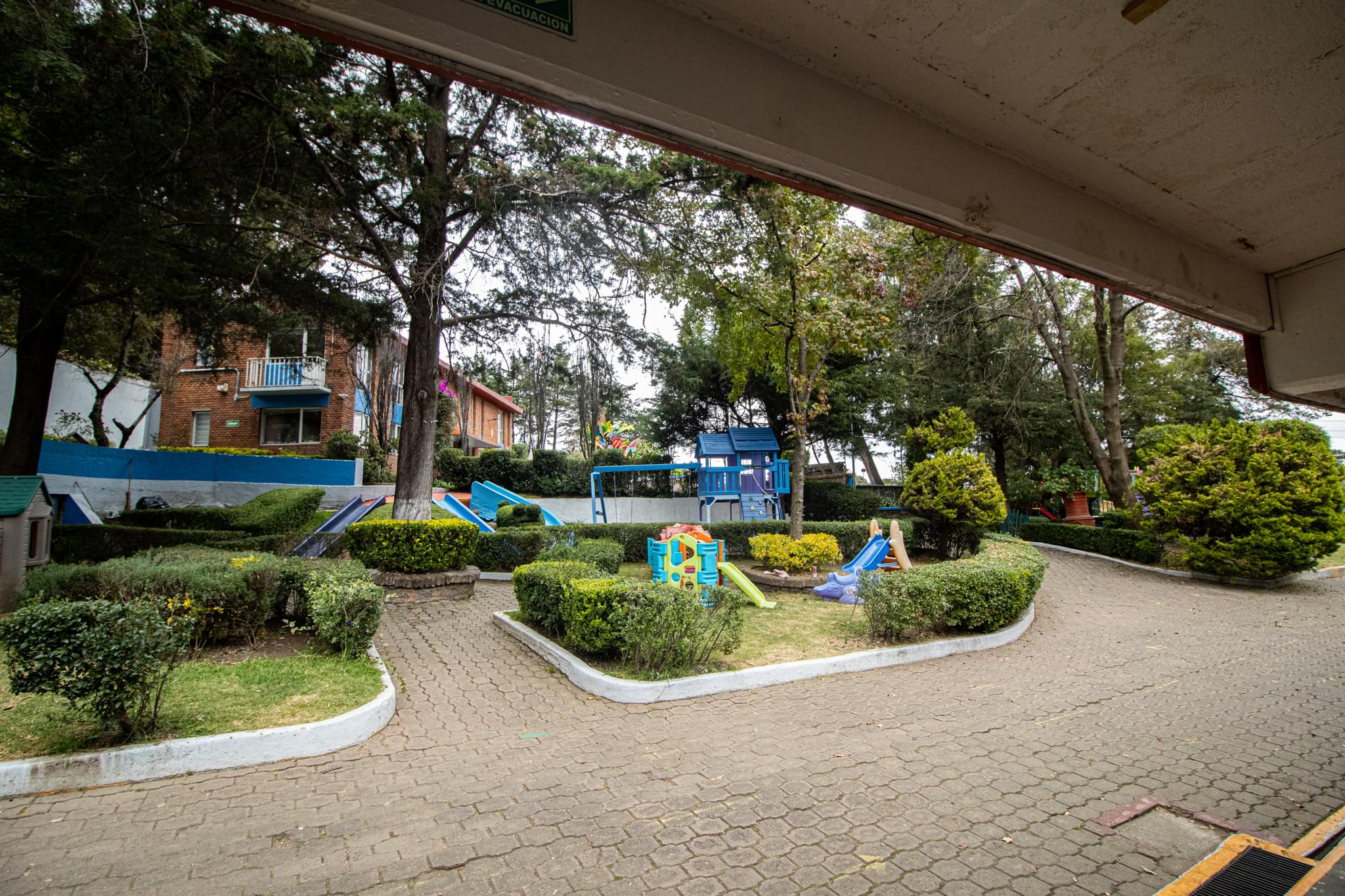 Colegio Bilbao — el bosque como salón