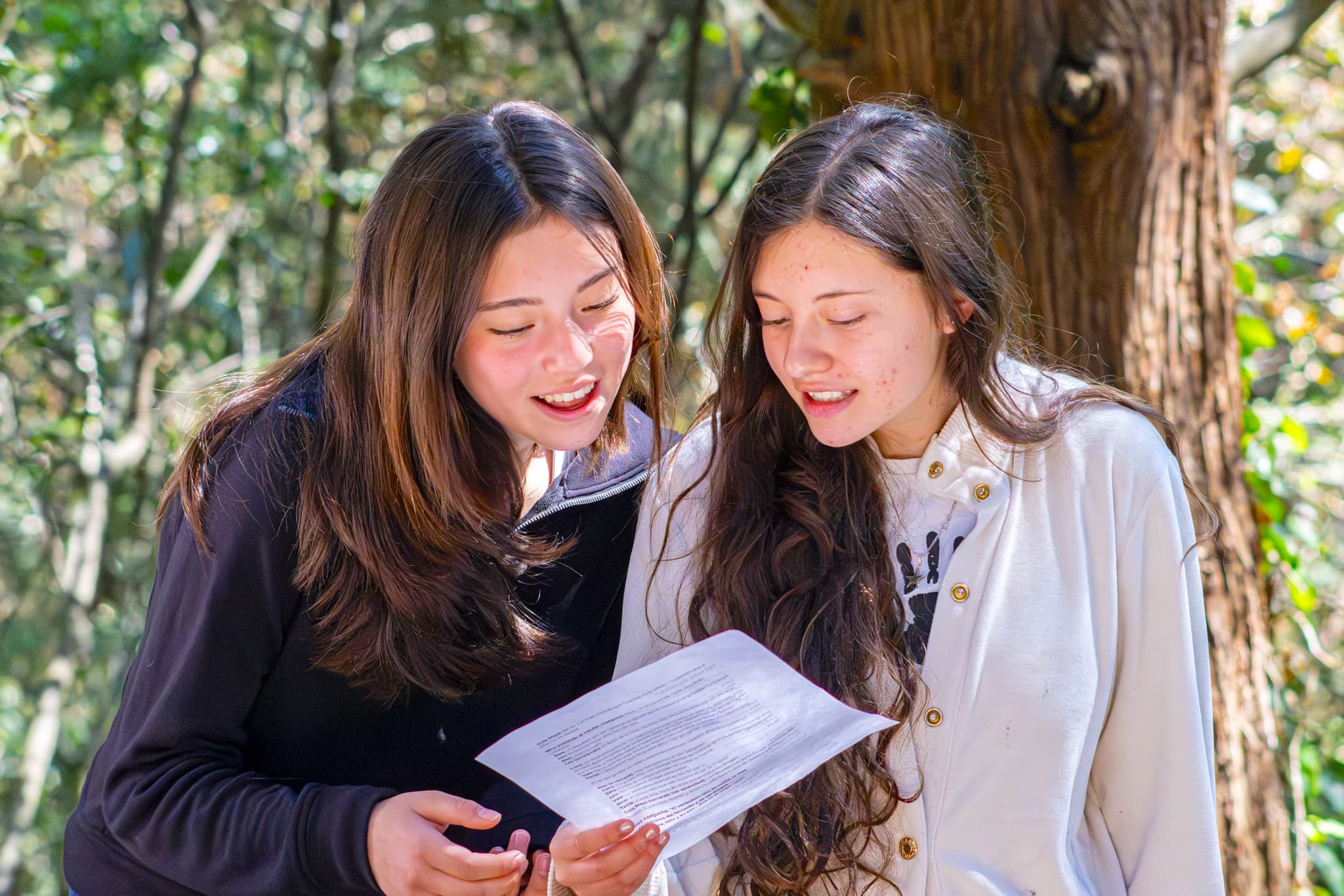 Secundaria